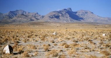 Desert landscape with mountains in the background.