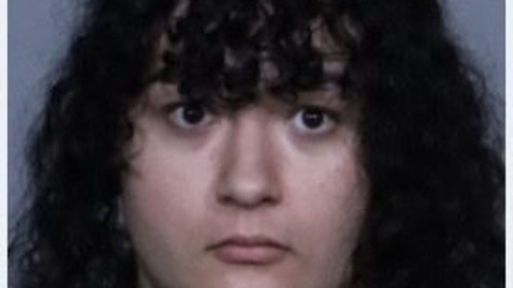 Masked flag-wielding trans protestor arrested for attacking activist