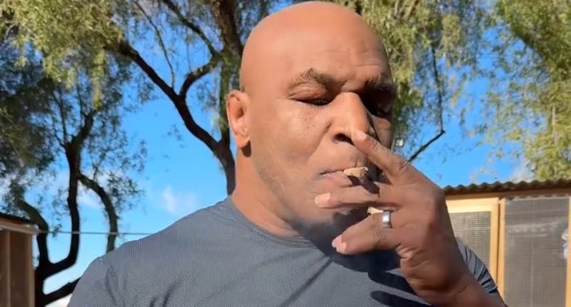 Mike Tyson makes desperate marijuana plea to Donald Trump