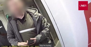 Video still of a passenger abusing a train ticket inspector.