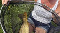 Woman holding a large fish in a net.