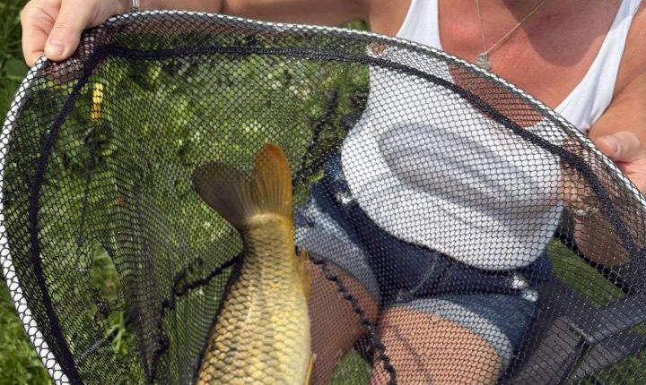 Woman holding a large fish in a net.