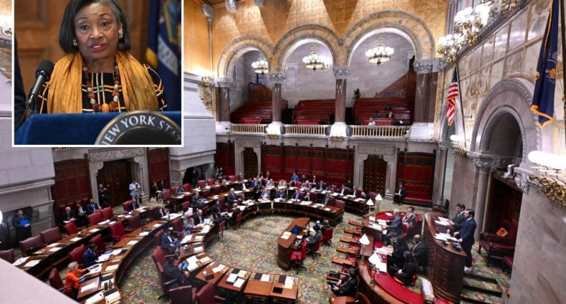 NYS lawmakers set vote to make assisted suicide legal despite controversy