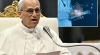 Pope Leo says AI threatens humanity, 'poses challenges to human dignity'