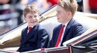 Prince Louis steals the show in animated display during RAF flypast