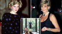 Princess Diana's bold request was the one thing her designer refused