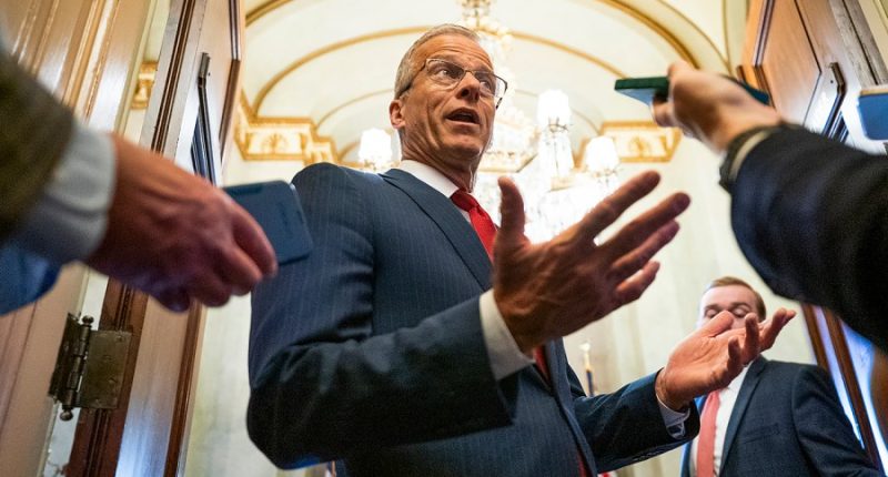 Problems proliferate in Senate for Trump’s 'big, beautiful bill'