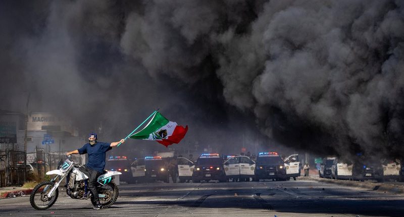 Protestor with Mexican flag hailed as symbol of anti-ICE riots in LA