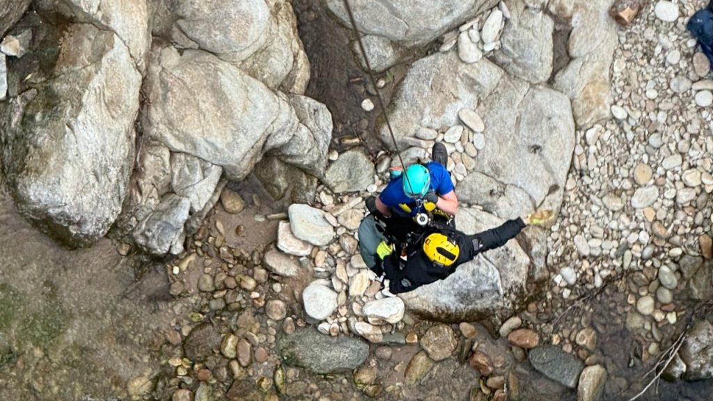 Rattlesnake bites teen on southern state fishing trip