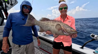 Reel Talk: Catching Scamp Grouper