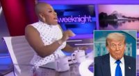 SCOTUS birthright citizenship ruling causes MSNBC host to erupt on air