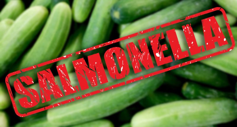 Salmonella Outbreak From Cucumbers Hits 2 Major Chains
