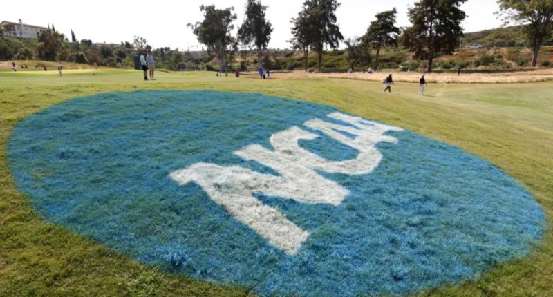 Schools can now directly pay college athletes in $2.8 billion settlement