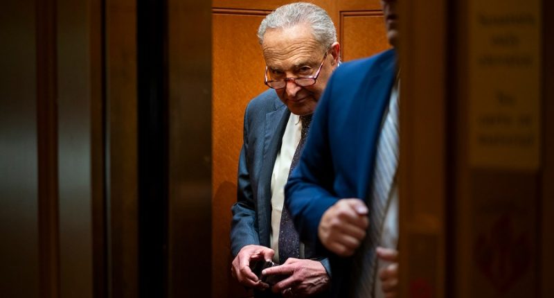 Schumer renames Trump megabill the 'Well, We’re All Going to Die Act'