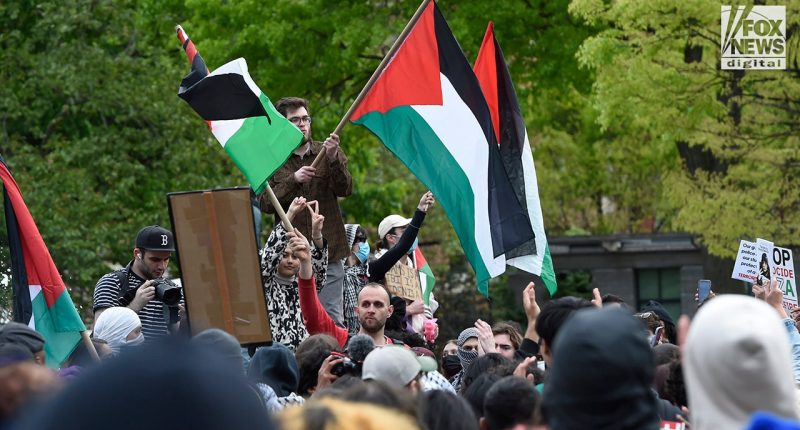 Self-proclaimed 'Jew hater' pleads guilty after targeting victims at NYC protests