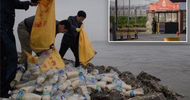 Six Americans detained in South Korea for sending rice money and Bibles toward North Korea