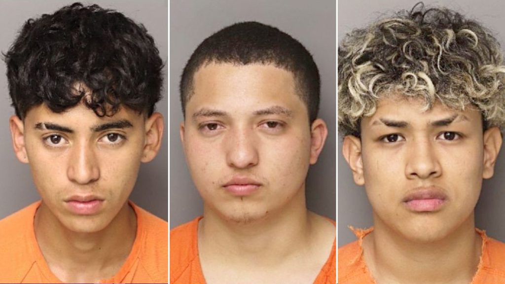 Six migrants charged in SC mom’s murder detailed crime in eerie messages: ‘Just the beginning’