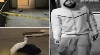 Stalker allgedly stabs two good Samaritans walking NYC woman home