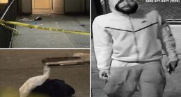 Stalker allgedly stabs two good Samaritans walking NYC woman home