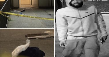 Stalker allgedly stabs two good Samaritans walking NYC woman home
