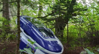 Blue and white personal vehicle in a wooded area.