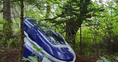 Blue and white personal vehicle in a wooded area.