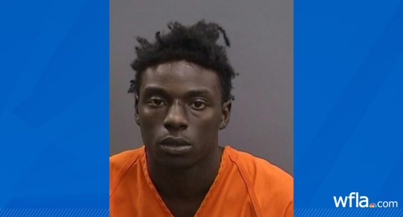 Suspect arrested after shooting at car with child inside, killing man: Hillsborough sheriff
