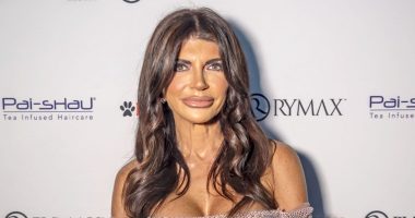 Teresa Guidice Gives Major Hint About Her Future On The Real Housewives Of New Jersey