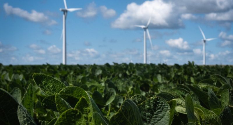 Trump: 'We're not going to approve windmills'