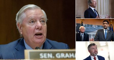 Trump ally's claims president discussed taking action against Iran