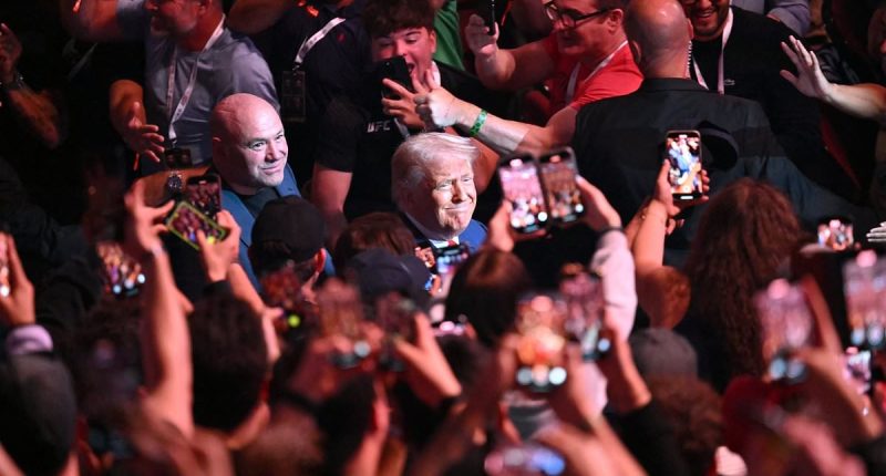 Trump arrives at UFC 316 months after cageside hangout with Musk