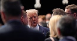 Trump arrives at a NATO summit facing an alliance shaped to his liking