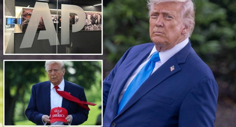 Trump boasts of 'big win' over AP as court allows WH to ban access after 'Gulf of America' spat