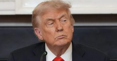 Trump calls for special prosecutor to investigate 2020 election