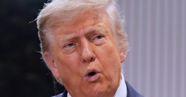 Trump rails against green tax credits in big, beautiful bill