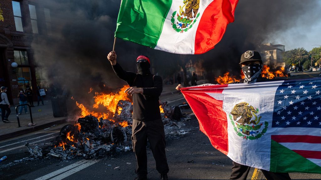 Trump takes action against 'orchestrated attack' on law enforcement by deploying Marines to LA: assemblyman