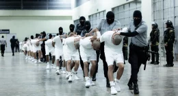 Trump's crackdown nets over 2,700 alleged members of notorious Venezuelan gang
