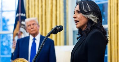 Tulsi Gabbard's misstep that left her excluded from plans for war
