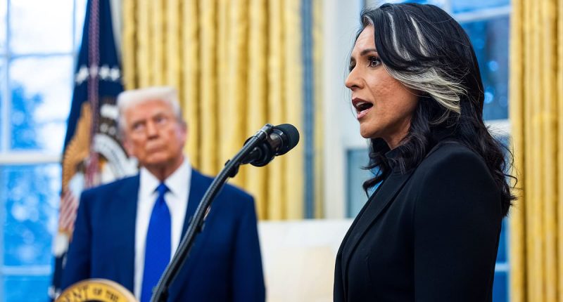 Tulsi Gabbard's misstep that left her excluded from plans for war
