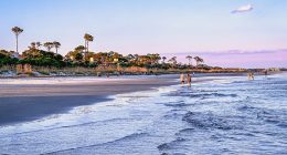 Two shark attacks reported in separate vacation hotspots as summer beach season starts