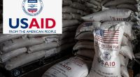 USAID official pleads guilty to taking part in $550M bribery scheme: ‘Violated the public trust’