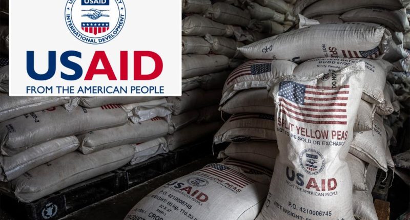 USAID official pleads guilty to taking part in $550M bribery scheme: ‘Violated the public trust’