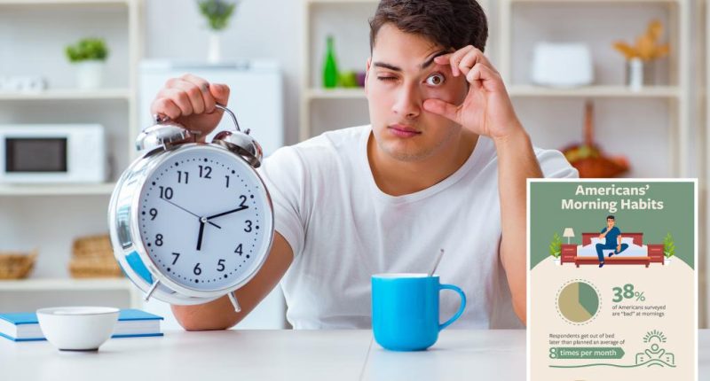 What are Americans' morning struggles?