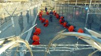 White House says new migrant detention plans are 'fake news'
