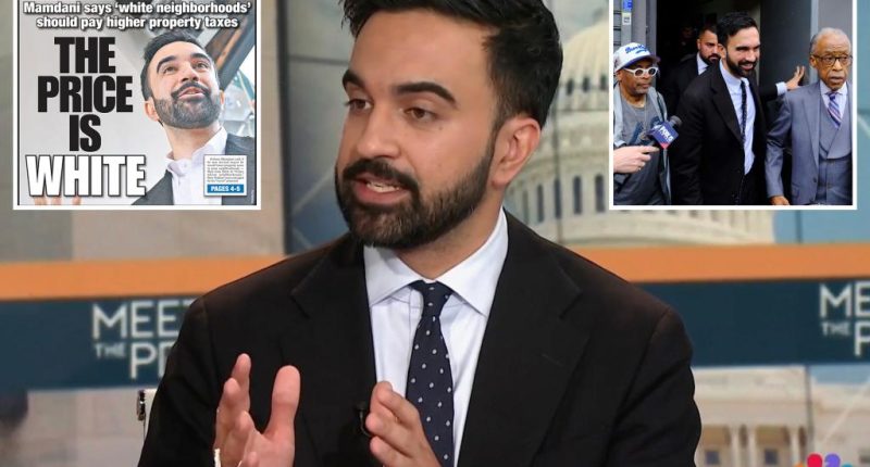 Zohran Mamdani doubles down on plan to target 'richer and whiter neighborhoods'