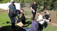 MAST arrests