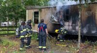 2 dogs die in Marion County mobile home fire
