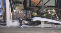 9 dogs dead after Seminole County shed fire, officials say