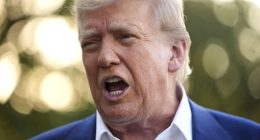Albanese backs Donald Trump after his 'abrupt' F-bomb