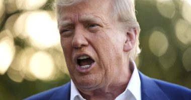 Albanese backs Donald Trump after his 'abrupt' F-bomb